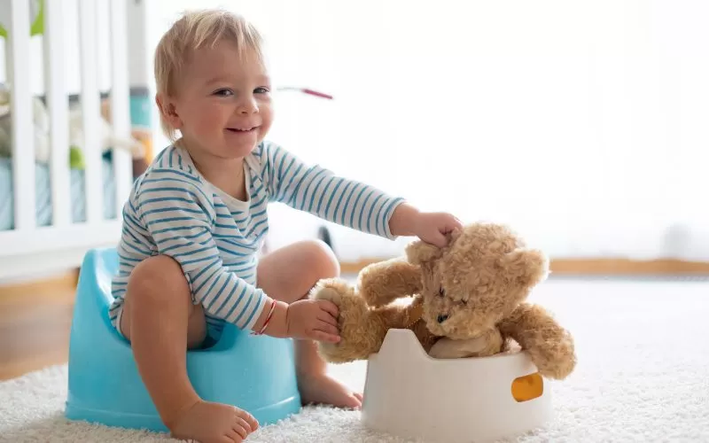Final Thoughts on Potty Training: How to Get the Job Done