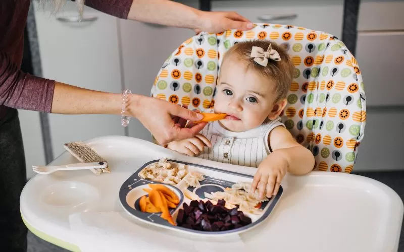 Starting Solids Without the Stress: A Holistic Approach