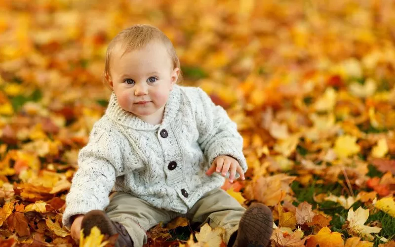 Transitional Seasons: Spring and Fall