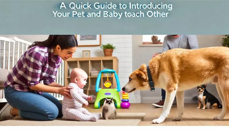 A Quick Guide to Introducing Your Pet and Baby to Each Other
