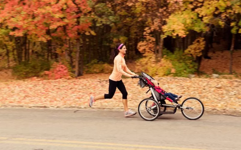 All-Terrain Adventure Stroller