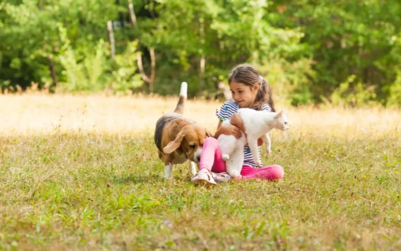 Building Long-Term Bonds Between Your Pet and Baby