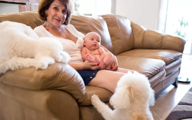 Is Your Baby Safe Around Pets? Expert Tip to Build a Bond Between Them