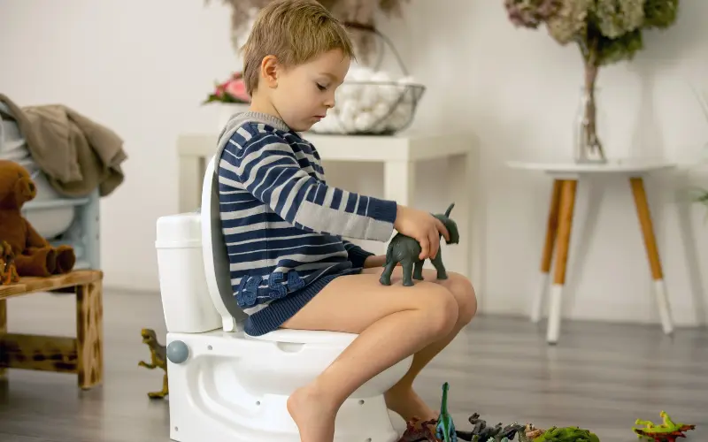 Signs Your Baby is Ready for Potty Training Recap