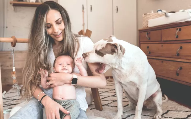 The First Meeting: Introducing a Baby to Siblings and Pets